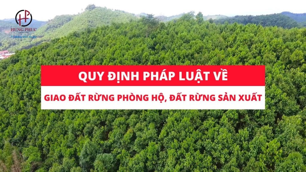 Quy Dinh Phap Luat Ve Giao Dat Rung Phong Ho Dat Rung San Xuat 5845