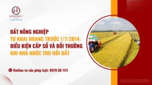 Đất Nông Nghiệp Tự Khai Hoang Trước 1/7/2014: Điều Kiện Cấp Sổ Và Bồi Thường Khi Nhà Nước Thu Hồi đất