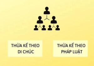 Luật sư tư vấn phân chia di sản thừa kế