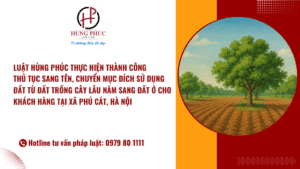 Luật Hùng Phúc Thực Hiện Thành Công Thủ Tục Sang Tên, Chuyển Mục đích Sử Dụng đất Từ đất Trồng Cây Lâu Năm Sang đất ở Cho Khách Hàng Tại Xã Phú Cát, Hà Nội