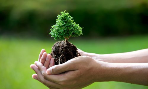 Chính thức: Tăng kịch khung thuế BVMT đối với xăng từ 01/01/2019