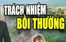 TRÁCH NHIỆM BỒI THƯỜNG THIỆT HẠI DO TÀI SẢN GÂY RA