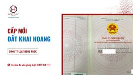 HOÀN THÀNH HỒ SƠ CẤP MỚI ĐẤT KHAI HOANG PHỨC TẠP Ở VĨNH YÊN