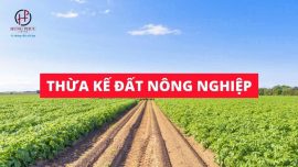 Đất ruộng hết hạn sử dụng có được thừa kế không?