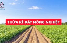 Thừa kế đất sản xuất nông nghiệp: Ai được nhận? Điều kiện nhận?